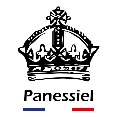 Qui sommes nous, logo de Panessiel
